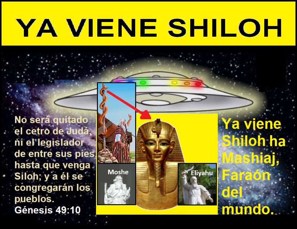 Estas en el home